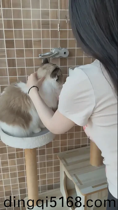 开讲啦罗志祥